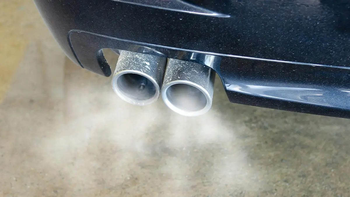 The exhaust system