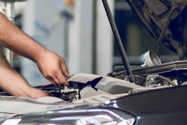 elaborazione del motore