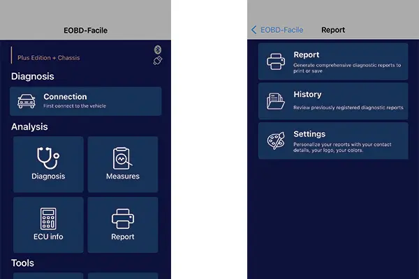 Report tab on smartphone