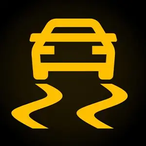 ESP warning light